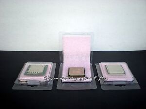 AMD Athlon CPU Clamshell for Socket AM3+ AM2+ Processors  - Lot of 10 40 80 125