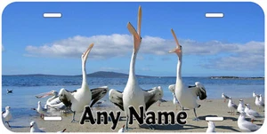 Vogel Party Pelikan Trios beliebiger Name personalisierte Neuheit Auto Nummernschild - Bild 1 von 5