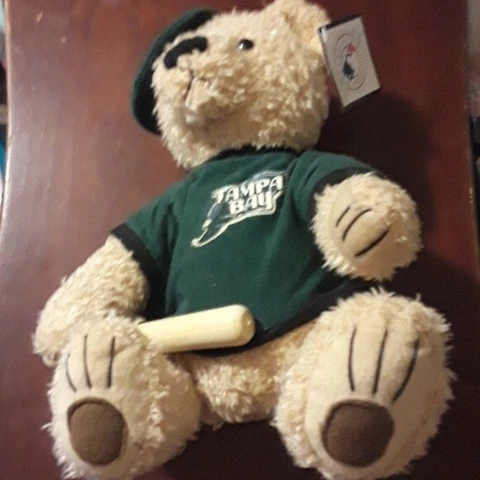Tampa Bay Rays Plush Shelf Bear Bat Hat Uniform MLB Official Merchandise 2004 Cover