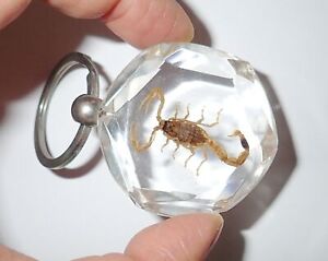 Insect Large Lucite Key Ring Golden Scorpion Shredded Diamond Effect DK10