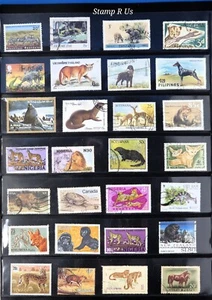 ANIMALS / FAUNA - Mixed Job Lot of World Stamps - U/FVF/LH - 1970s + Cats & Dogs - Picture 1 of 1
