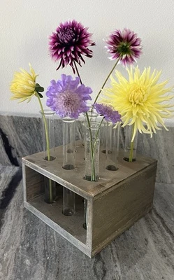 Flower Vase Bud Holder Vase Propagation   - Image 1 of 4