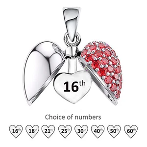 Red Crystal Heart Pendant for Necklace - 925 Sterling Silver Gifts for Women - Picture 1 of 22