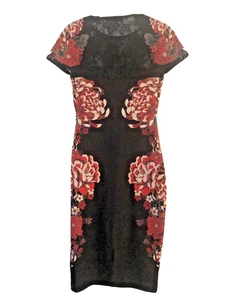 Express Dress Black Red 2  Floral Lace Bodice & Back Sheath Artsy Asian Fairy - Picture 1 of 6