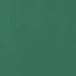 AC Cardstock, Earth Tones, Evergreen Cardstock, 2 x 12', Texture, 80 lb, Green - Picture 1 of 1