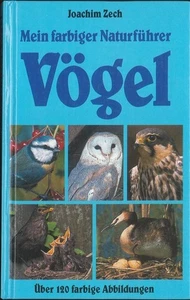 Mein farbiger Naturführer Vögel Zech, Joachim: - Imagen 1 de 1