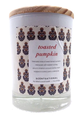 1x 11 oz Scentsational CALABAZA TOSTADA 1-Mecha Vela Mediana Mezcla Natural de Soja Foto 1 de 2