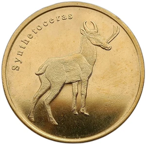 GREAT INAGUA - BAHAMAS 1 DOLLAR 2020 SYNTHETOCERAS 31mm UNC - Picture 1 of 2