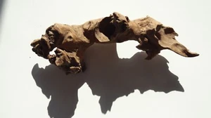 Aquariumholz Mopani Terrariumholz - Bild 1 von 2