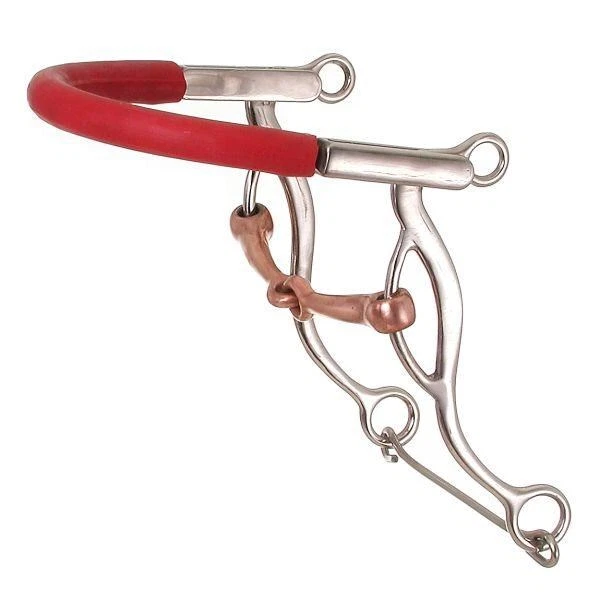 KELLY BITS-TOUGH 1 Kelly Silver Star Gag Snaffle Hackamore - Stainless Steel - 5" mouth