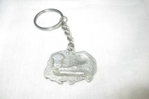 Vintage Harley Davidson Asphalt Krieger Baron SELTENER FOB SCHLÜSSELANHÄNGER Aluminiumguss - Bild 1 von 5