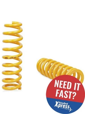 King Springs Rear Standard Coil Spring Pair KTRS-79 - image 1 of 4