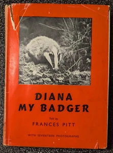 Diana My Badger, by Frances Pitt 1950 reprint, HC - Picture 1 of 7
