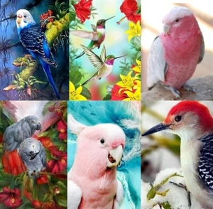 5D Diamond Painting Kit Full Round Drill Birds Art Craft DYI Home Decor - Picture 1 of 28