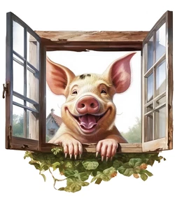 XXXL 60X60 cm Autoaufkleber Sticker Schwein Aufkleber - Bild 1 von 1