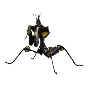 Bandai Gashapon Action Figure ADVANCE Devil's Flower Mantis first larva 15cm - Picture 1 of 4