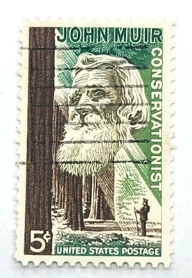 US Scott #1245  Postage Stamp 1964 John Muir 5c Used NH  - Image 1 of 3