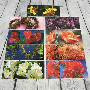 Set Of 9 Vintage Postcards Island Heritage Hawaiian Flowers Unposted - Picture 1 of 12