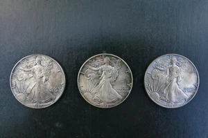 American Silver Eagle 1987 1 dólar - 3 monedas incl. 1 tono - sin usar - Imagen 1 de 2