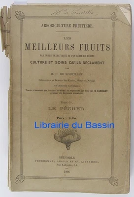 Arboriculture fruitière T1 pêcher de Mortillet 1868 Meilleur fruit culture - Photo 1/4