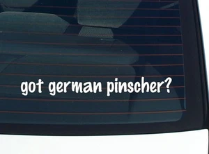 got german pinscher? DECALCOMANIA AUTO ADESIVO PARAURTI VINILE DIVERTENTE SCHERZO FINESTRA - Foto 1 di 6