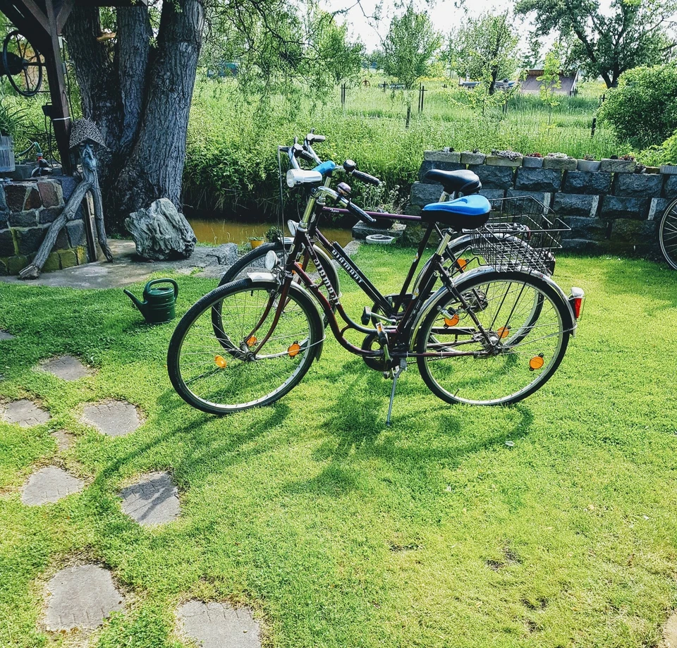 Damen- und Herrenfahrraď - Bild 1 von 1