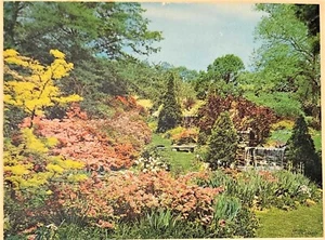 Vintage Straus Wood Jigsaw Puzzle MY GARDEN IS A GLORY 750 Pieces #228 HTF - Picture 1 of 11