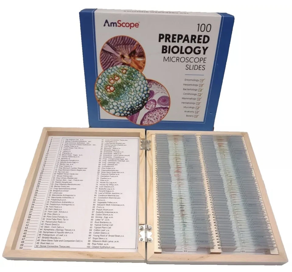 AmScope PS100A 100 PC Prepared Biological Microscope Glass Slides