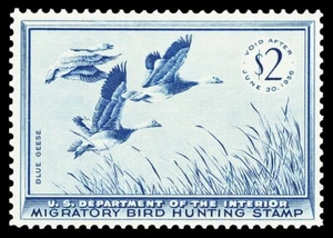 Scott RW22 1955 $2.00 Duck Stamp Mint VF OG NH Cat $85 - Picture 1 of 2