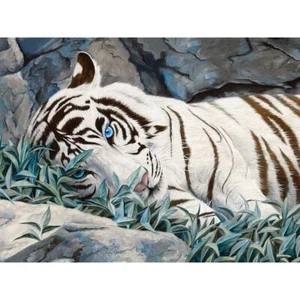Bits And Pieces - Blue Eyes 500 Piece Puzzle - Picture 1 of 1