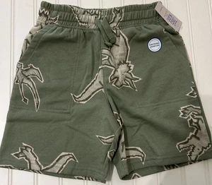 Jurassic Dinosaur Boy’s Size 8 Fleece Shorts Light Green Pull on 365 Kids New - Picture 1 of 6