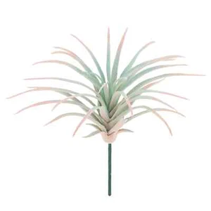 7" Green & Pink Tillandsia by Ashland® - Picture 1 of 3