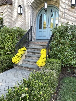 Step Planter Brownstone Home Front Door Stairs Wood Flower Pot Brand New Wooden - Image 1 of 4