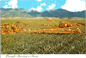 Ananasernte mit modernen Maschinen und erfahrenen Pflückern, Hawaii Postkarte - Bild 1 von 2