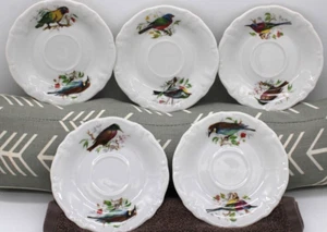 RARE WINTERLING Bavaria Germany Set Of 5 BIRD THEME Tea Saucers / Dessert Plates - Picture 1 of 18