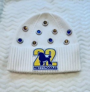 Sigma Sorority Beanie | Sigma Gamma Rho Embroidered Hat | D9 Poodle | Handmade - Picture 1 of 2