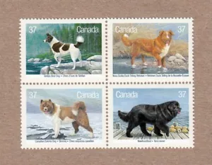 RETRIEVER ESQUIMAL TERRANOVA PERROS KENNEL CLUB Canadá 1988 #1220a MNH-VF - Imagen 1 de 1