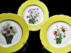19thc - Fischer & Meig Hand-Painted Floral Plates - 1859-1873 - Pirkenhammer - Picture 1 of 7