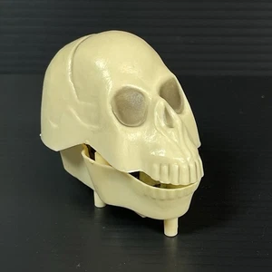 Vintage Fun World Halloween Aufzieh Geschwätz Skelton Totenkopf Hongkong 1970er - Bild 1 von 9
