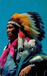 Postcard Apache Native American - Picture 1 of 2