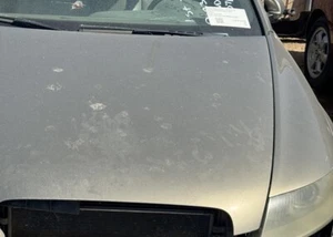 2005-2008 Audi A6  Front Fender Left Driver Side Beige OEM (freight) - Picture 1 of 3