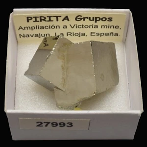 PIRITA Grupos (Mina Ampliacion a Victoria, Navajun, La Rioja) #27993 / Pyrite - Foto 1 di 1