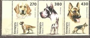 Belarus: full set of 3 mint stamps, dogs, 2004, Mi#502-4, MNH