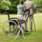 Folding Cane Seat Anti Slip Supports Up To 260kg Stainless Steel Foldable Crutch