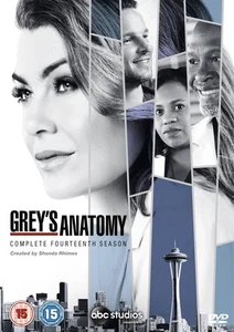 Grey's Anatomy: Complete Fourteenth Season (DVD) Ellen Pompeo Chandra Wilson - Imagen 1 de 2