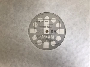 Sting - Sister Moon (Hani Mixes) - 1996 12” - Picture 1 of 2