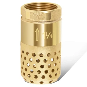 1-1/4" Foot Valve with Mesh Strainer, Universal One-Way Female NPT Check Valve - Picture 1 of 5