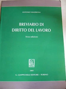 ANTONIO VALLEBONA JAPANISCHES ARBEITSRECHTSBREVIER 2005 (DRITTE AUFL.) - Bild 1 von 1