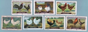 TC0184 Trade Cards: Chocolats Peter, Nestlè - Serie 50 - Poule 6/12 - Bild 1 von 1