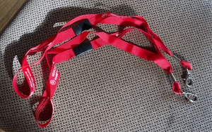 Geocaching Hampton Roads Lanyard x2 - Picture 1 of 3